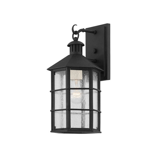 Troy Lighting Lake County 1 Light Exterior Small Sconce, Iron/Clear - B2511-FRN