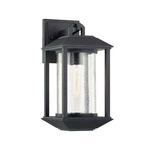 Troy Lighting Mccarthy 1 Light Wall Sconce, Graphite/Clear Seeded - B7281-FOR
