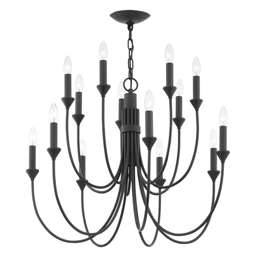 Troy Lighting Cate 14 Light Chandelier, Forged Iron - F1014-FOR