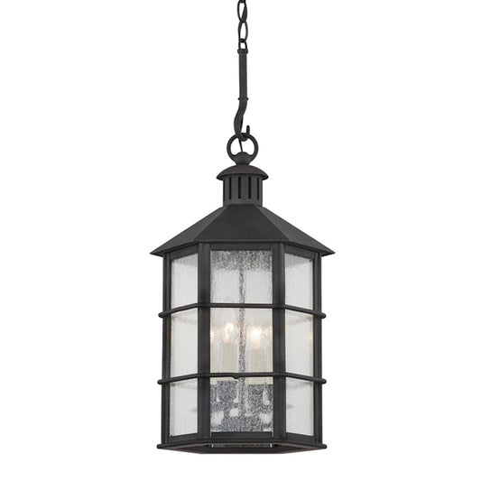 Troy Lighting Lake County 4 Light Exterior Lantern, Iron/Seeded - F2526-FRN