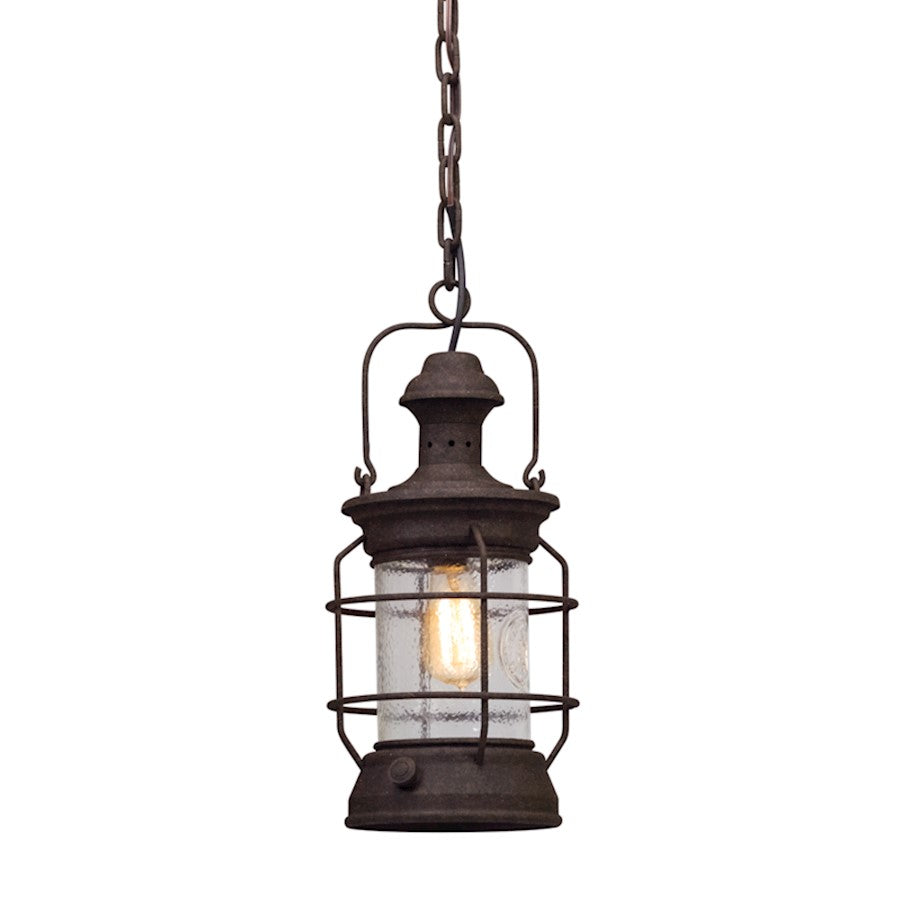 Troy Lighting Atkins 1Lt Hanging Pendant, Medium, Rust/Clear - F5057-HBZ