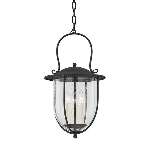 Troy Lighting Monterey County 3 Light Exterior Pendant, French Iron - F5725-FRN