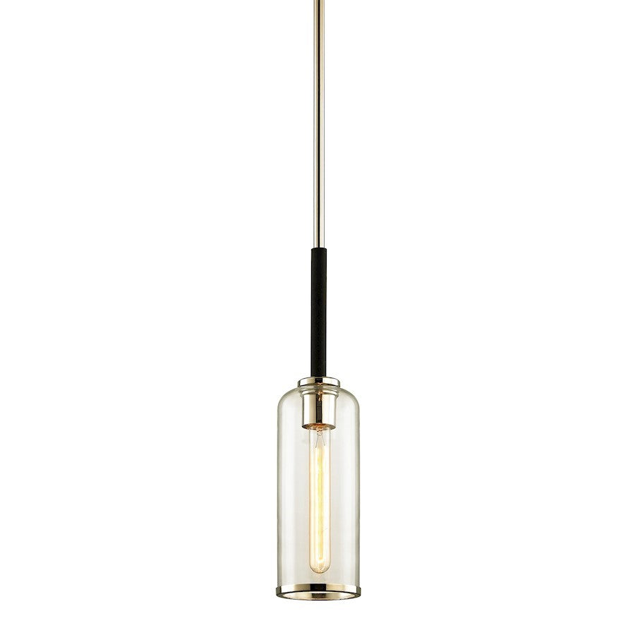 1 Light Mini Pendant, Carbide Black Polished Nickel