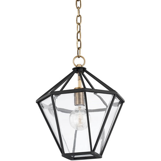 Troy Lighting Moss 1 Light 12" Lantern, Brass/Black/Clear - F8212-PBR-TBK