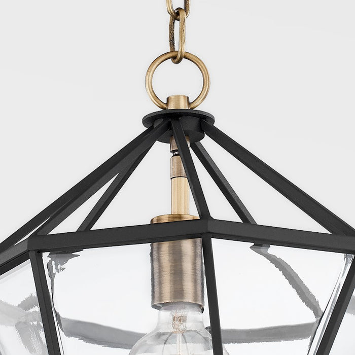 Troy Lighting Moss 1 Light Lantern, Brass/Black/Clear