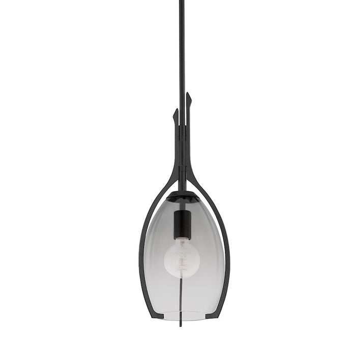 Troy Lighting Pacifica 1 Light 9" Pendant, Forged Iron/Smoke - F8309-FOR