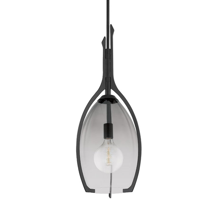 Troy Lighting Pacifica 1 Light 13" Pendant, Forged Iron/Smoke - F8313-FOR
