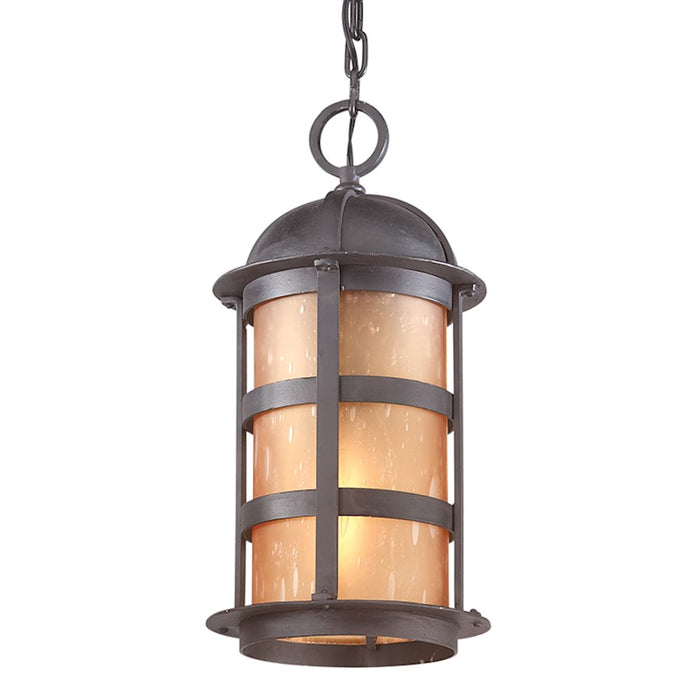 Troy Lighting Aspen 1 Light Hanging Lantern Large, Bronze/Seeded Amber - F9255NB