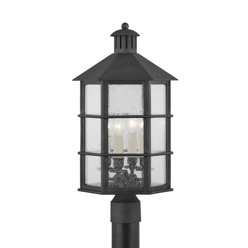 Troy Lighting Lake County 4 Light Exterior Post, Iron/Clear Seeded - P2522-FRN