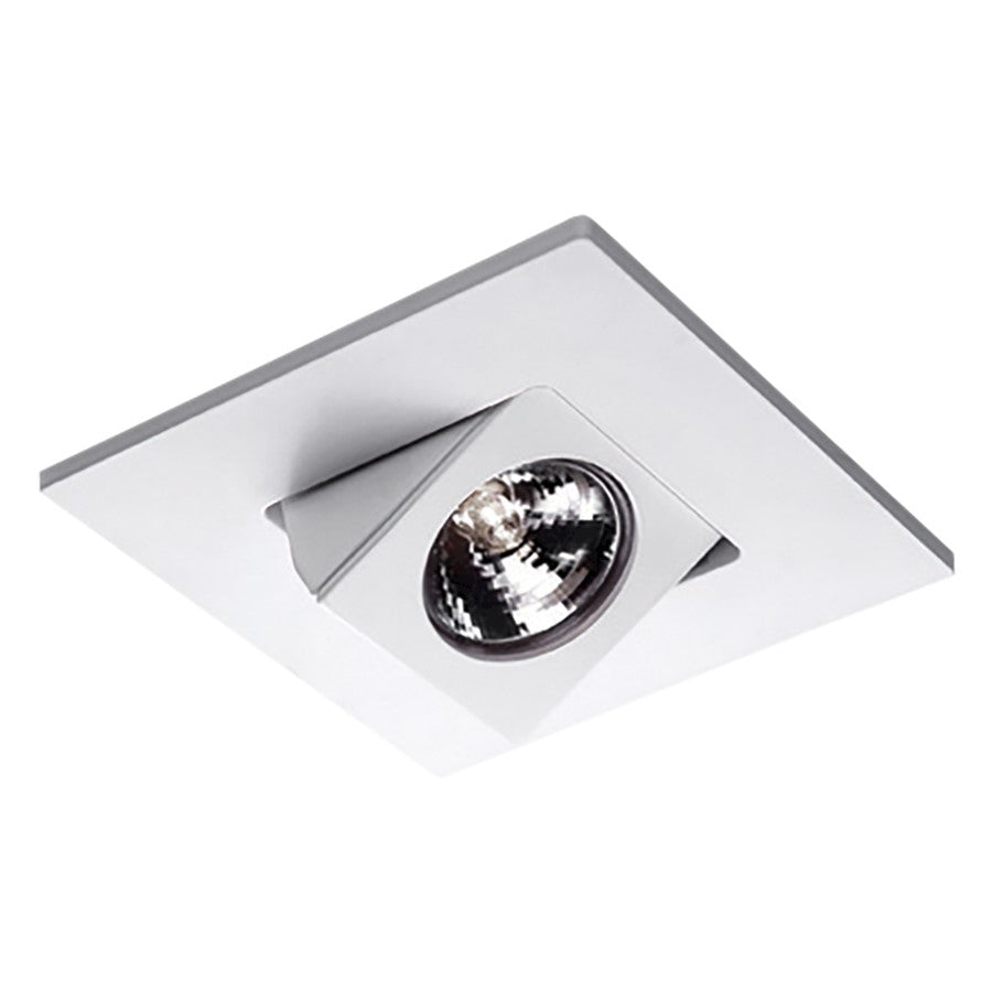 WAC Lighting 4" Square Adjustable Directional Trim