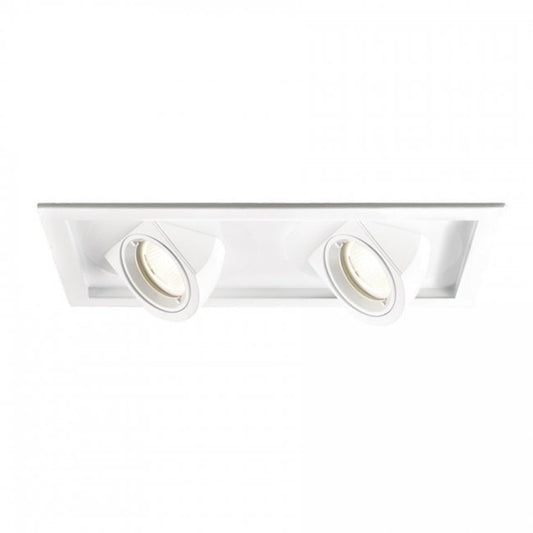 WAC Lighting Giselle Tesla LED 2 Light Flood Beam Recessed Lighting