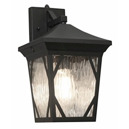 AFX Lighting Innova Outdoor Lantern/LED Vintage Bulb, Photo Cell - INE6037BKC