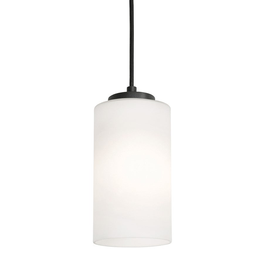 AFX Lighting Leo 1 Light 4" Pendant, Black/White - LEOP04MBBK