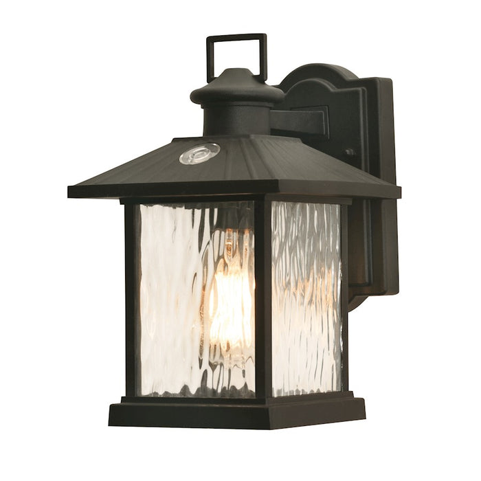 AFX Lighting Lennon 1 Light Outdoor Wall Sconce, Black/Clear