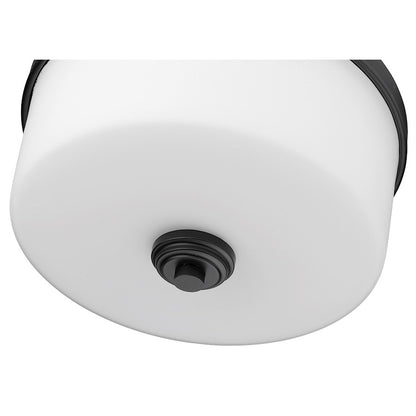 Z-Lite Arlingto Flush Mount