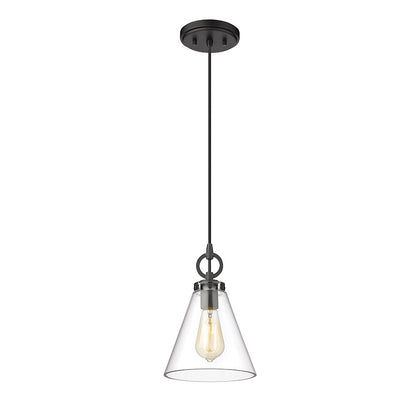 1 Light 8" Pendant, Clear