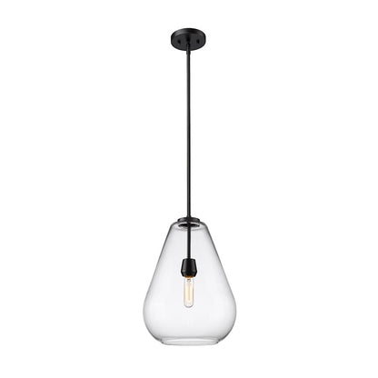 1 Light Pendant, Matte Black/Clear