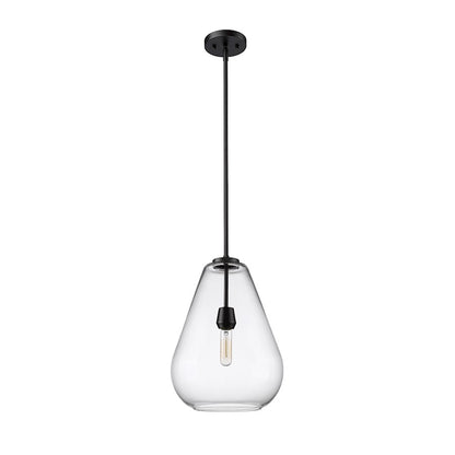 1 Light Pendant, Matte Black/Clear