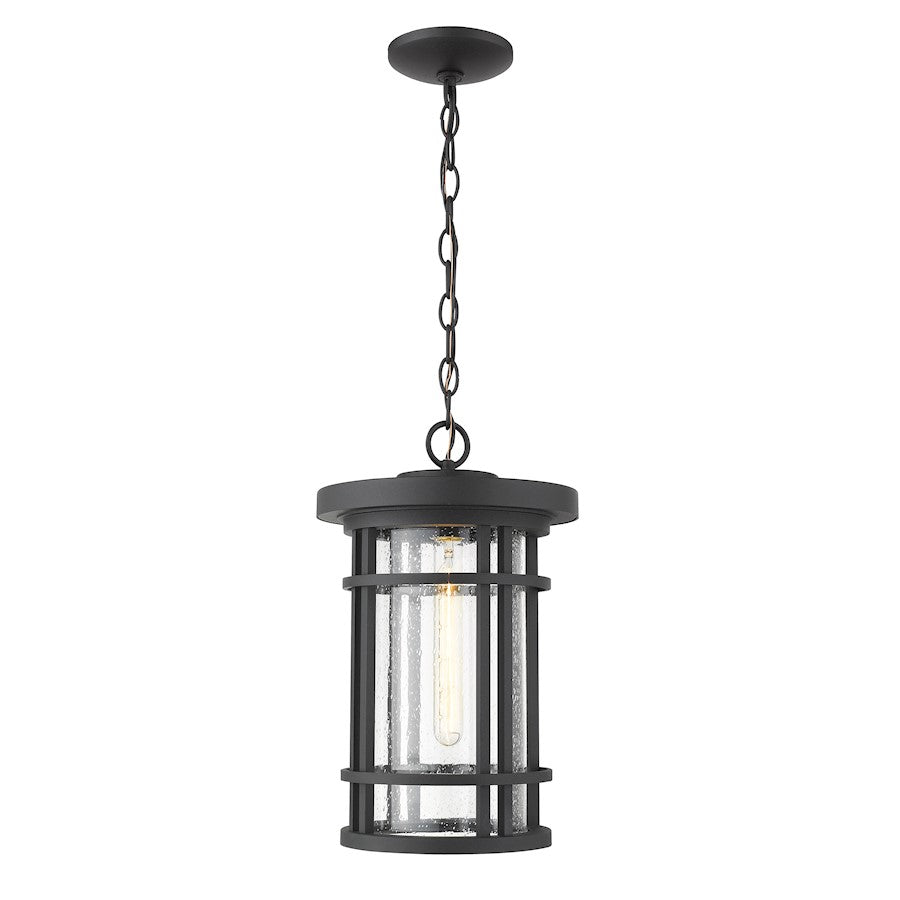 Z-Lite Jordan 1 Light 10" Outdoor Chain Ceiling Fixture, Black/Clear - 570CHB-BK