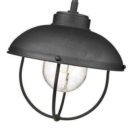 1 Light Outdoor Pendant