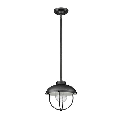 1 Light Outdoor Pendant