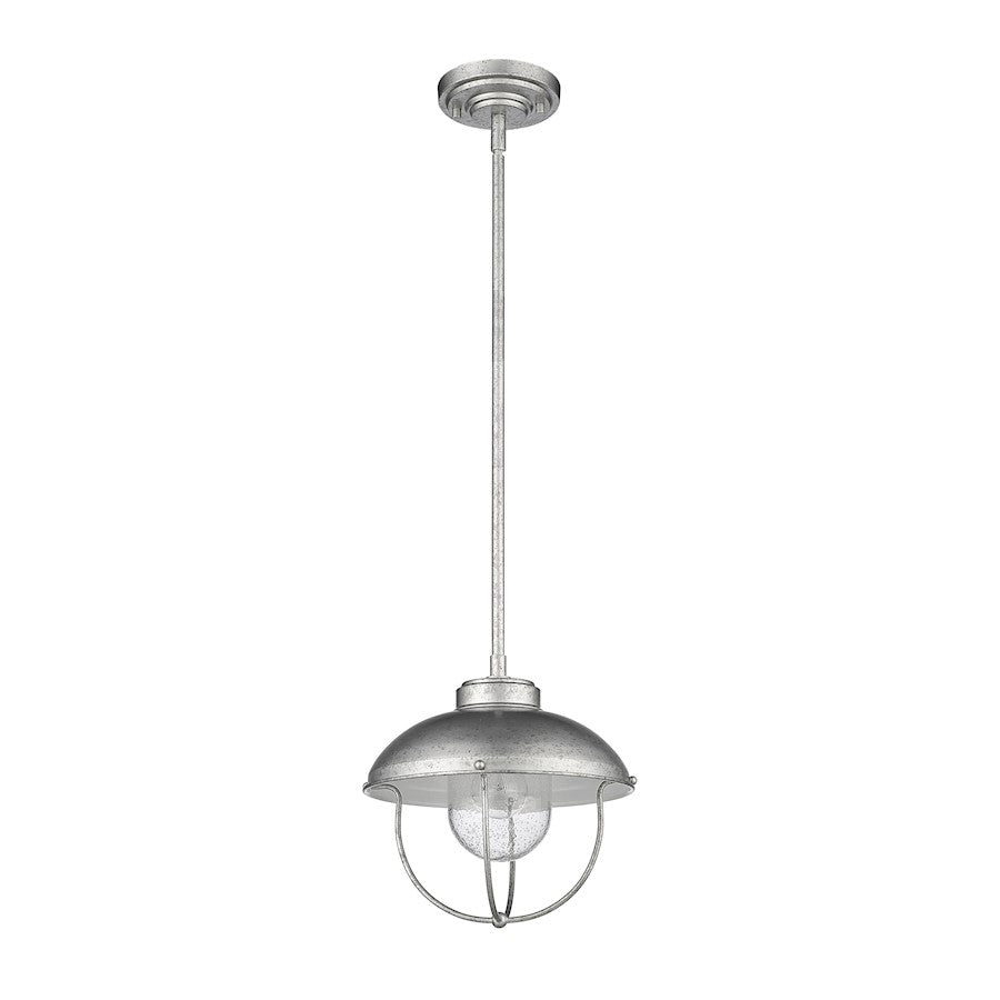 1 Light Outdoor Pendant