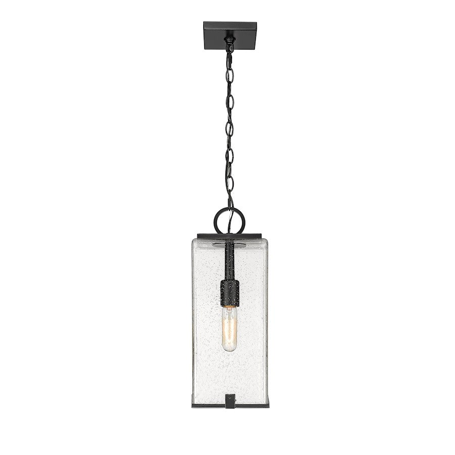 Z-Lite Sana 1 Light Outdoor Chain Mount Ceiling, Black/Seedy