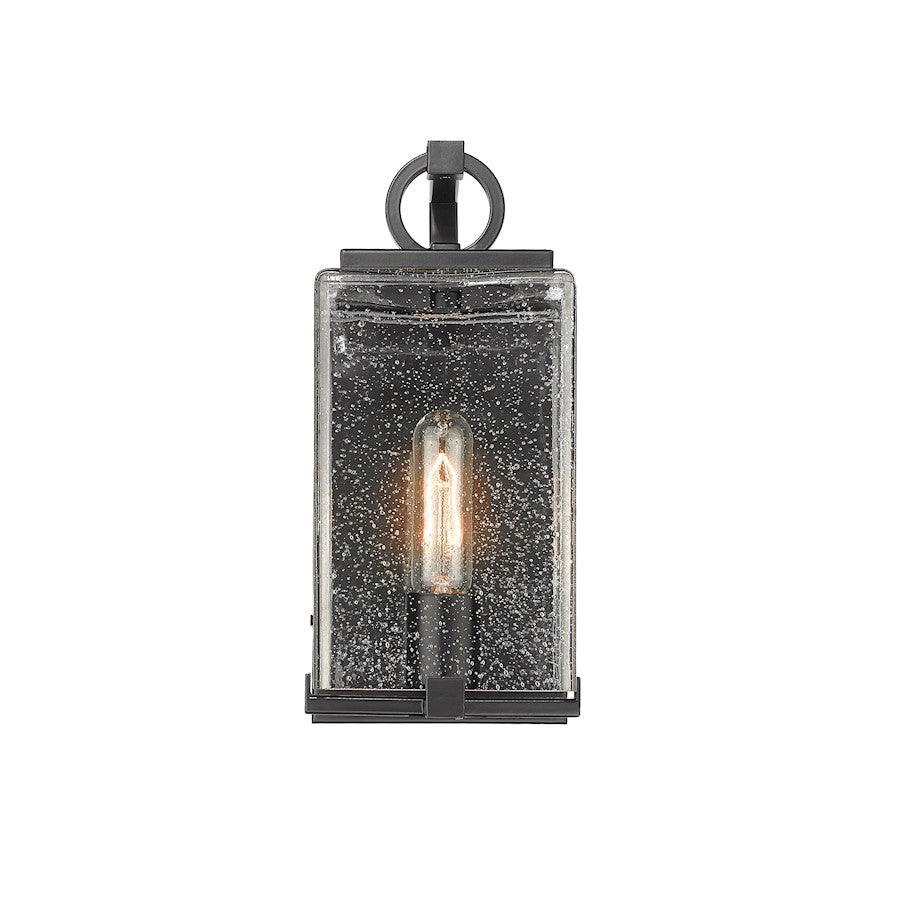 Z-Lite Sana 1 Light  Outdoor Wall Sconce, Black