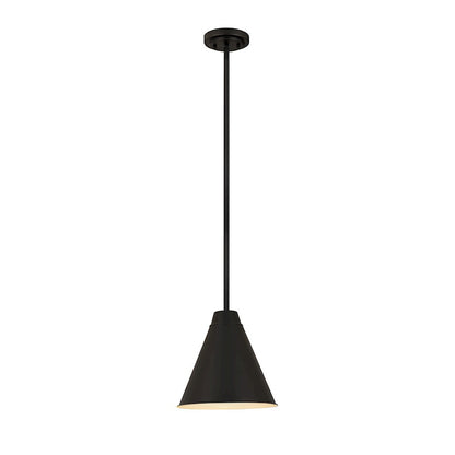 Z-Lite Eaton 1 Light 12" Pendant, Matte Black - 6011P12-MB