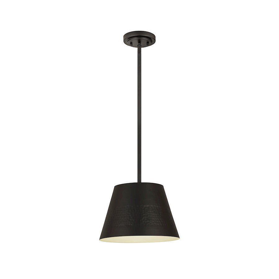 Z-Lite Maddox 1 Light 12" Chandelier, Matte Black - 6013-12MB