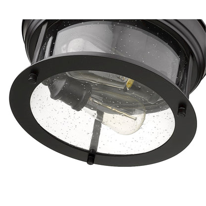 Z-Lite Sonna 2 Light Flush Mount, Clear Seedy Glass