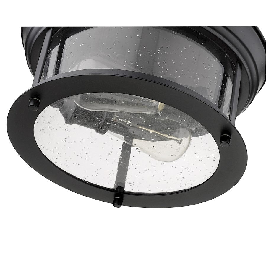 Z-Lite Sonna 2 Light Flush Mount, Clear Seedy Glass