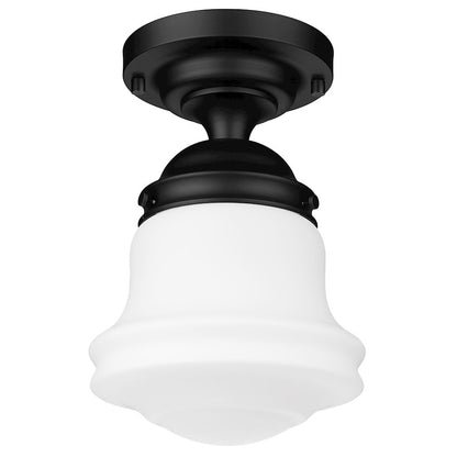 Z-Lite Vaughn 1 Light Flush Mount