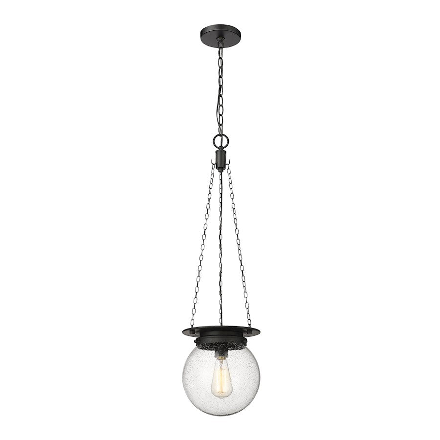 Z-Lite Calhoun 1 Light 9" Pendant, Matte Black/Clear Seedy - 7506P9-MB