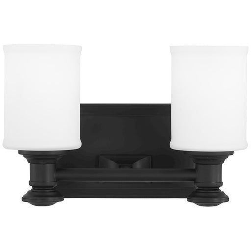 Minka Lavery Harbour Point 2 Light Vanity in Coal - 5172-66A