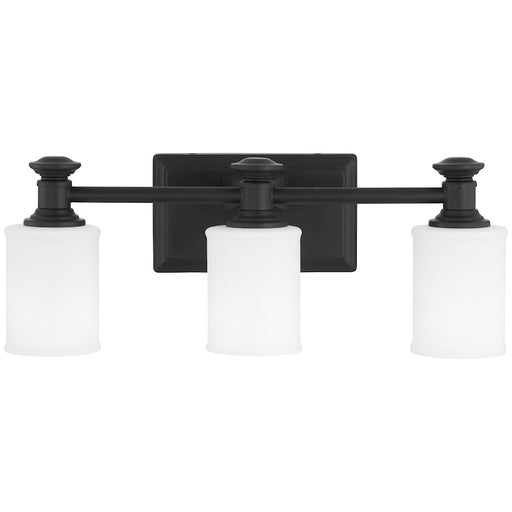 Minka Lavery Harbour Point 3 Light Vanity in Coal - 5173-66A