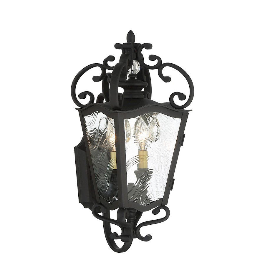 Minka Lavery Brixton Ivy 2 Light Outdoor Lantern, Coal/Honey Gold - 9332-661